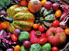 Picture for category Frutti & Deco