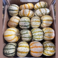 Immagine di ZUCCHE ORNAMENTALI