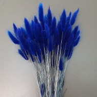 Immagine di LAGURUS COLORATO 