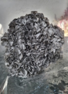 Immagine di ORTENSIA  STABILIZZATA MACROPHILA 45/50 cm