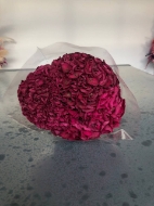 Immagine di ORTENSIA  STABILIZZATA MACROPHILA 45/50 cm