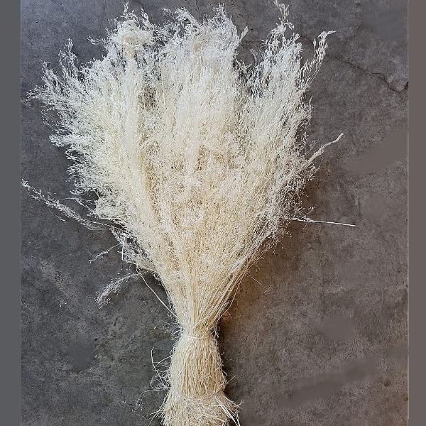 Immagine di AGROSTIS SBIANCATO