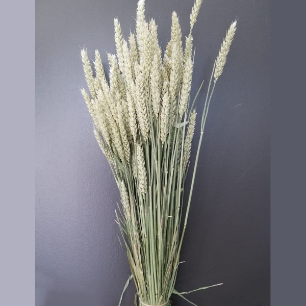 Image de FRUMENTO NATURALE