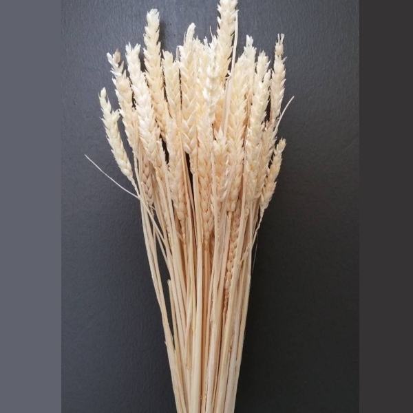 Immagine di FRUMENTO SBIANCATO