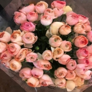 Picture of RANUNCOLO CLONE EX