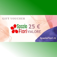 Image de CARTA REGALO 25