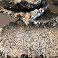 Immagine di CORTECCIA SUGHERO NATURALE