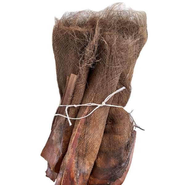 Picture of CORTECCIA DI PALMA