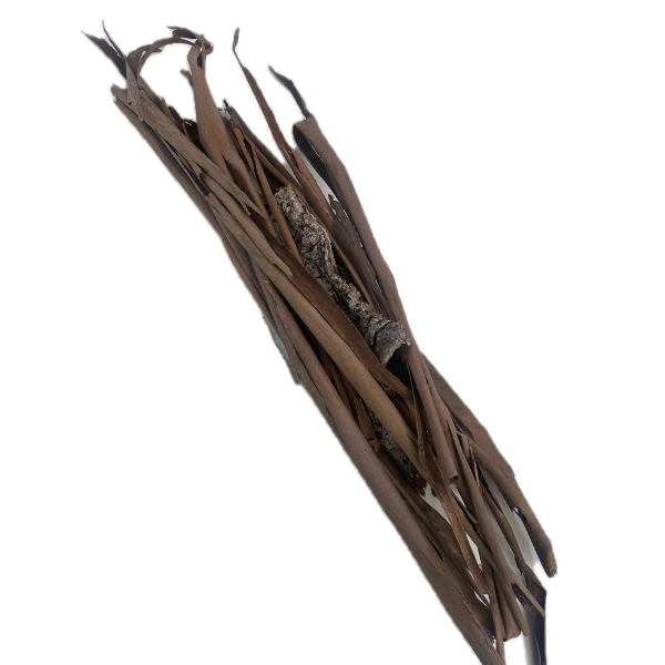 Image de CORTECCIA DI EUCALIPTUS