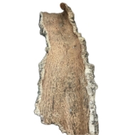 Immagine di CORTECCIA SUGHERO NATURALE