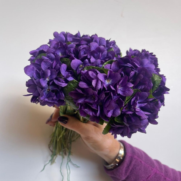 Image de VIOLETTE