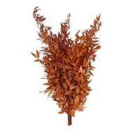 Immagine di RUSCUS STABILIZZATO