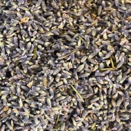 Immagine di FIORI DI LAVANDA