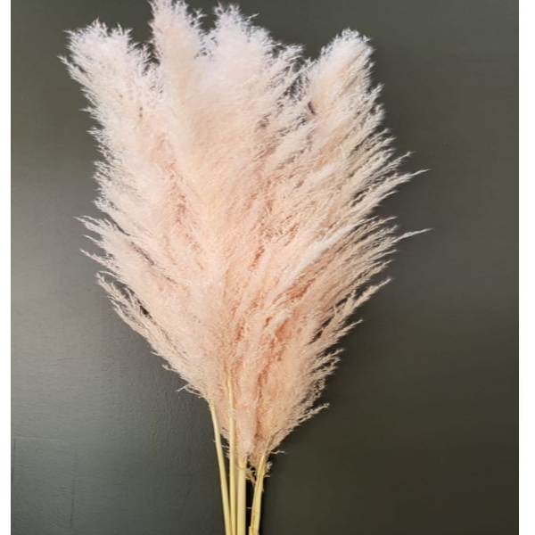 Immagine di PAMPAS PREMIUM rosa chiaro 150 cm 
