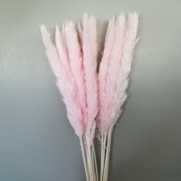 Immagine di FLUFFY REED ROSA CHIARO