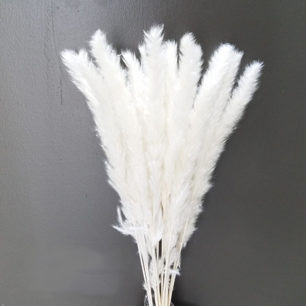 Immagine di FLUFFY REED SBIANCATO