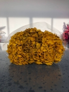 Image de ORTENSIA STABILIZZATA MACROPHILA 65/70 cm  