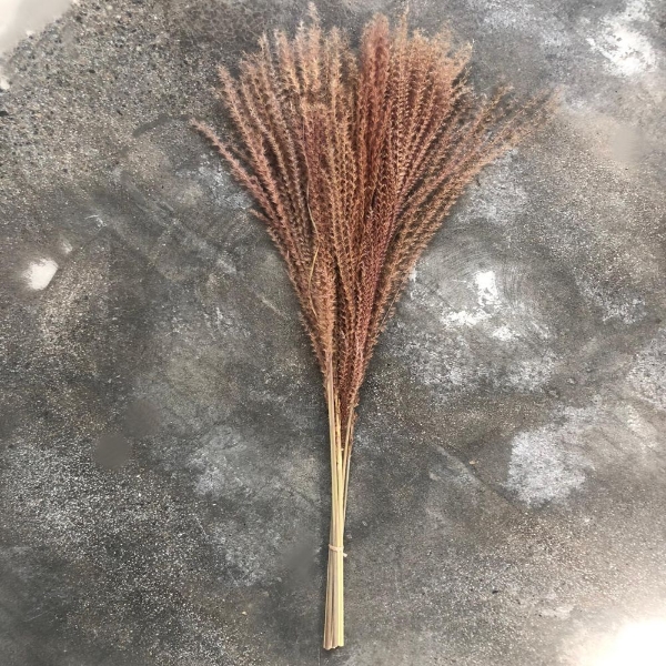 Immagine di EULALIA NATURALE