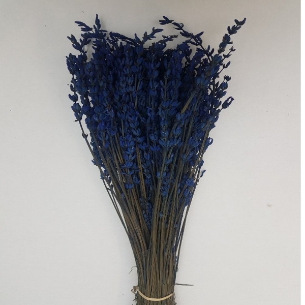 Immagine di LAVANDA STABILIZZATA