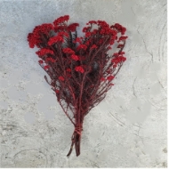 Image de RICEFLOWER  COLOR