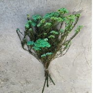 Image de RICEFLOWER  COLOR