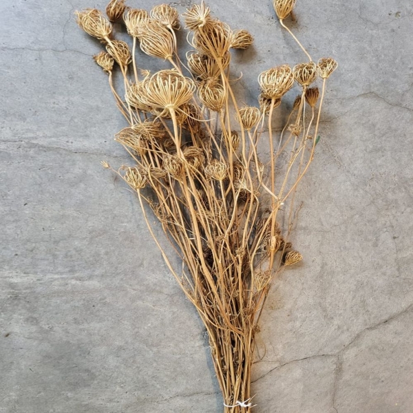 Immagine di FINOCCHIO NATURALE