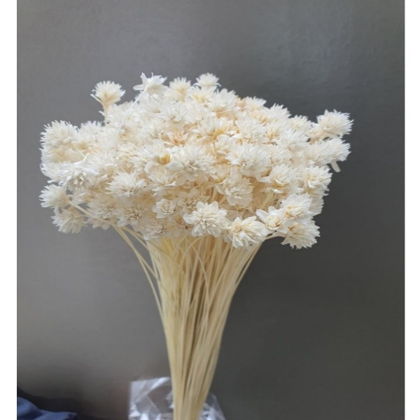 Immagine di HILL FLOWER