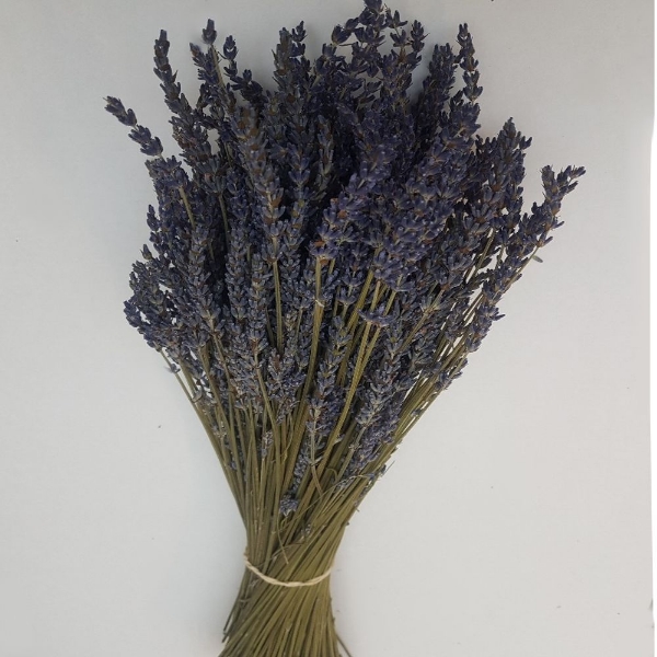 Immagine di LAVANDA SECCA
