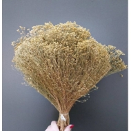 Immagine di BROOM BLOOM NATURALE / SBIANCATO