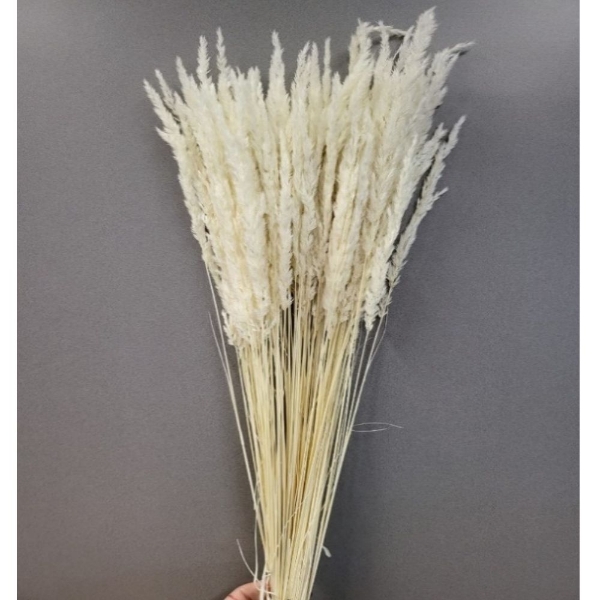 Picture of CRISTINA GRASS SBIANCATO