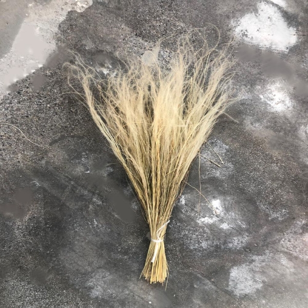 Image de STIPA NATURALE 