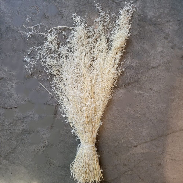 Image de BRIZA SEGRO SBIANCATA