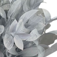 Immagine di RUSCUS GARDEN COLORATO