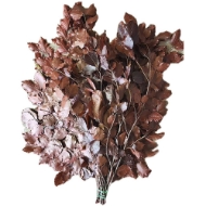 Image de FAGGIO STABILIZZATO