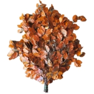 Image de FAGGIO STABILIZZATO