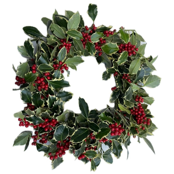 Immagine di CORONCINE  DECORATIVE