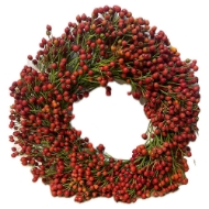 Immagine di CORONCINE  DECORATIVE