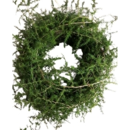 Immagine di CORONCINE  DECORATIVE