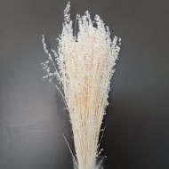 Image de BRIZA SALINO NATURALE / SBIANCATO