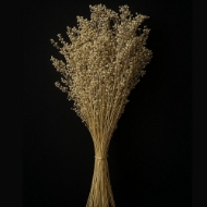 Image de BRIZA SALINO NATURALE / SBIANCATO